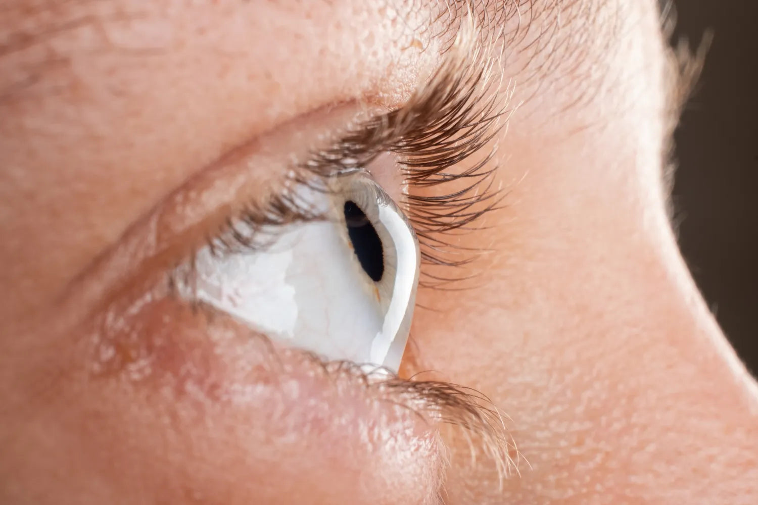 Default Alt Text