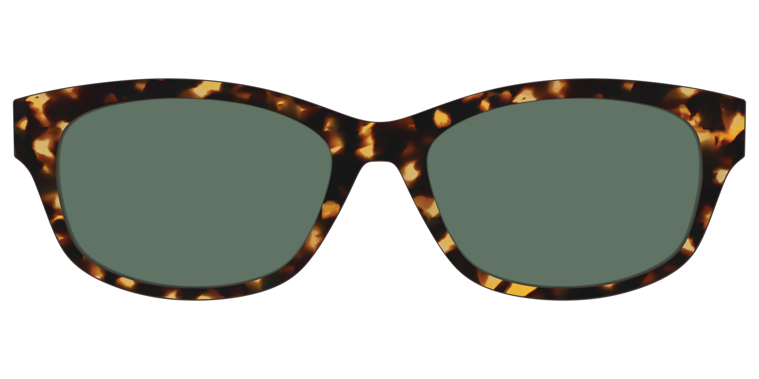 The Non-Polarized Green Tortoise Sun Top - Front Top Image - Pair Eyewear