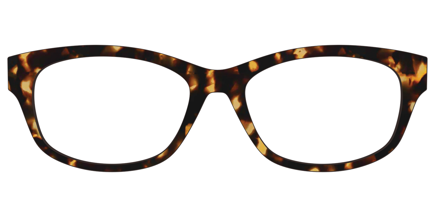 The Tortoise - Front Top Image - Pair Eyewear