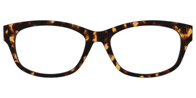 The Tortoise - Front Top Thumbnail - Pair Eyewear