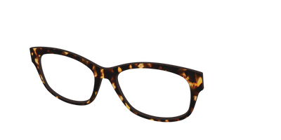 The Tortoise - Angle Top Thumbnail - Pair Eyewear