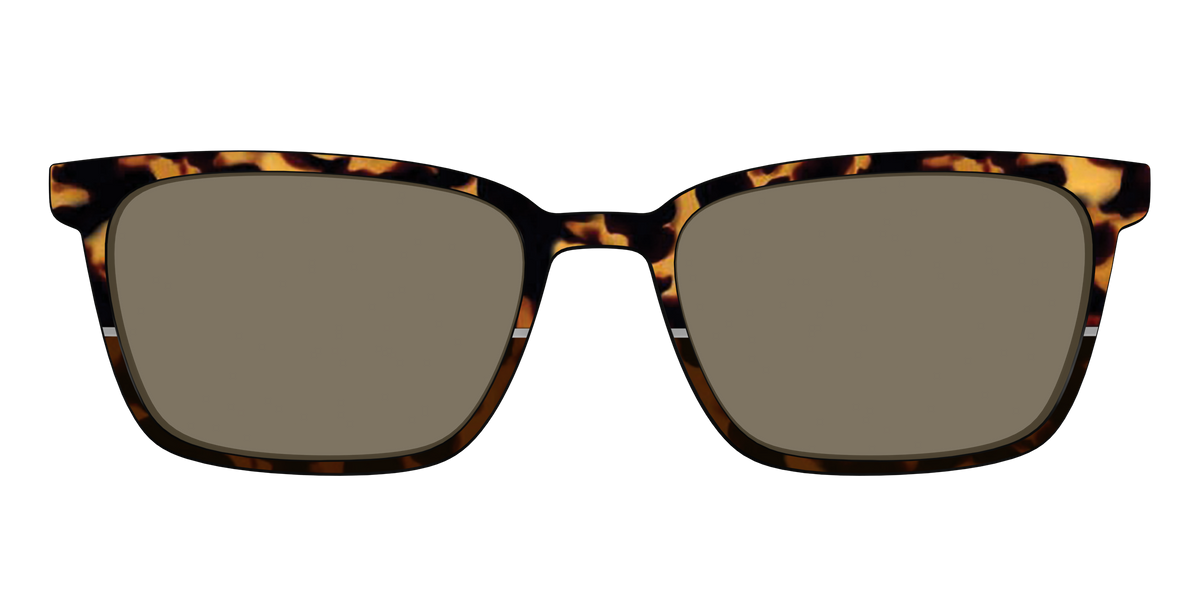 The Polarized Chic Tortoise Split Sun Top - Front Top Image - Pair Eyewear