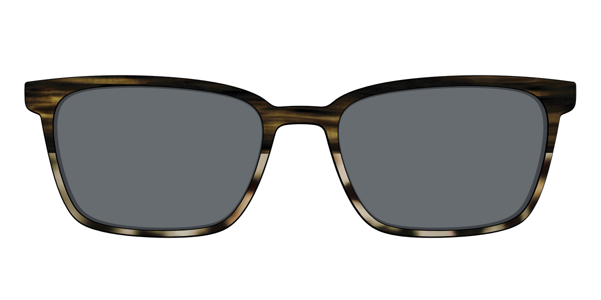 The Polarized Horn Tortoise Sun Top - Front Top Image - Pair Eyewear