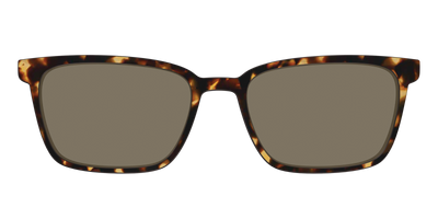 The Non-Polarized Tortoise Sun Top - Front Top Thumbnail - Pair Eyewear