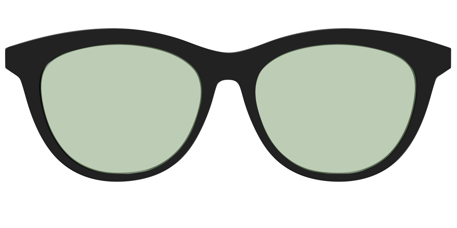 The Black With Sage Green Lens - Front Top Image - Pair Eyewear