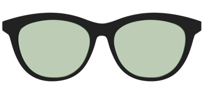 The Black With Sage Green Lens - Front Top Thumbnail - Pair Eyewear