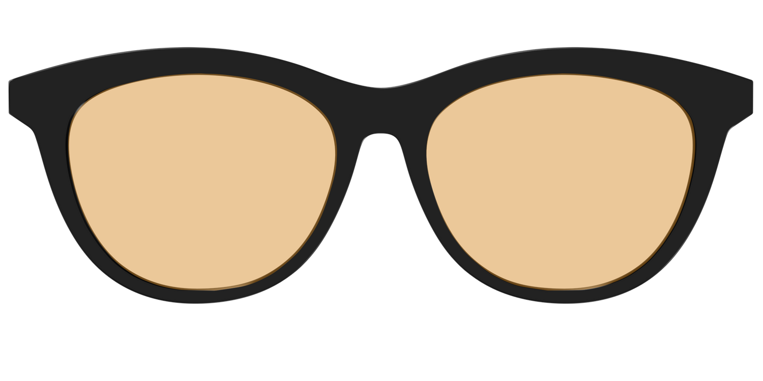 The Black With Umber Brown Lens - Front Top Image - Pair Eyewear