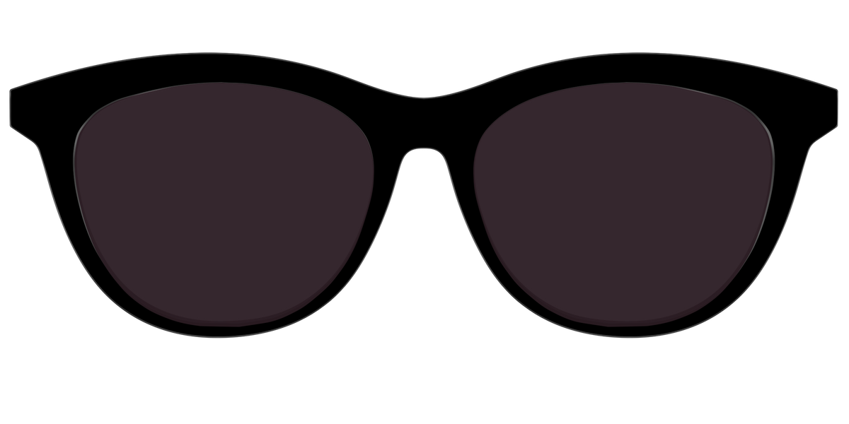 The Black with Urban Explorer lens - Front Top Image - Pair Eyewear