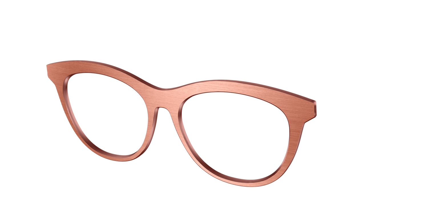 The Brushed Champagne - Angle Top Image - Pair Eyewear