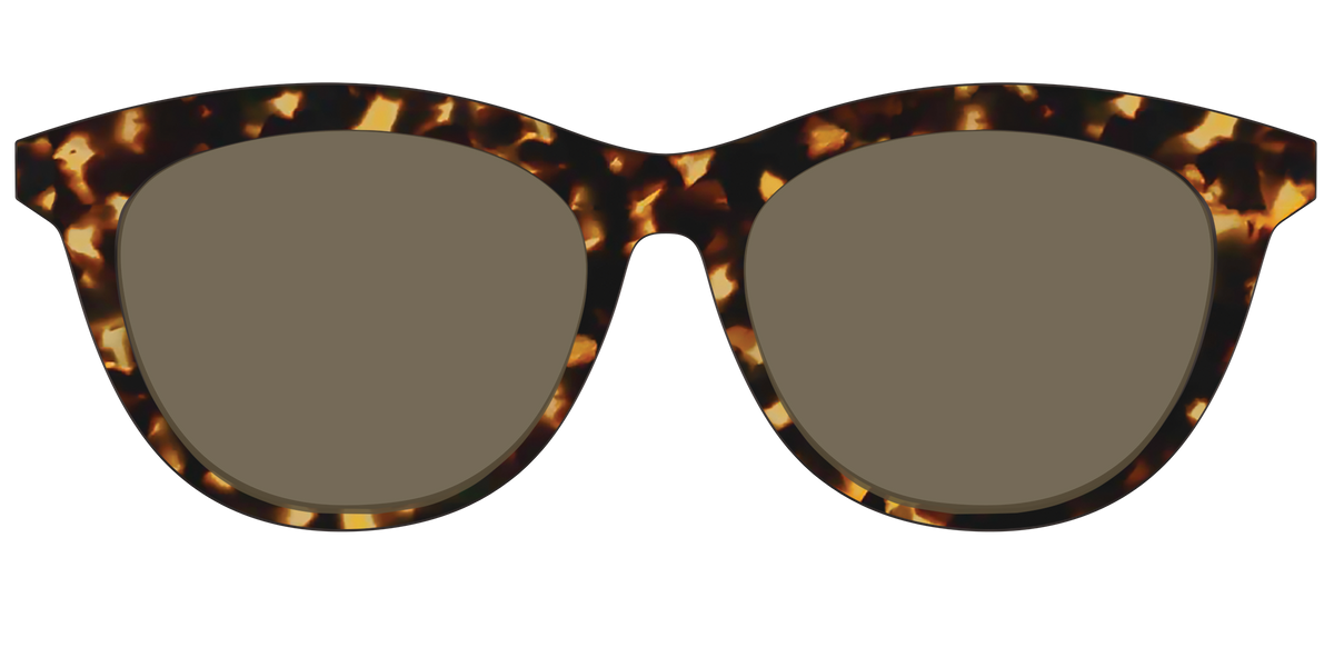 The Non-Polarized Tortoise Sun Top - Front Top Image - Pair Eyewear