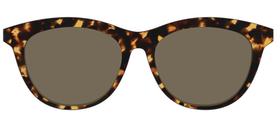 The Non-Polarized Tortoise Sun Top - Front Top Thumbnail - Pair Eyewear