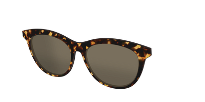 The Non-Polarized Tortoise Sun Top - Angle Top Thumbnail - Pair Eyewear