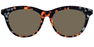 The Polarized Gray & Amber Tortoise Sun Top - Front Top Thumbnail - Pair Eyewear