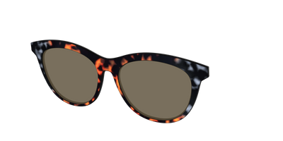The Polarized Gray & Amber Tortoise Sun Top - Angle Top Thumbnail - Pair Eyewear
