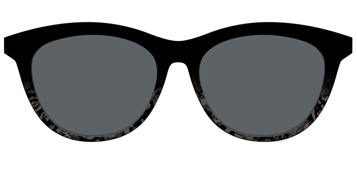 The Polarized Shaded Tortoise Sun Top - Front Top Image - Pair Eyewear