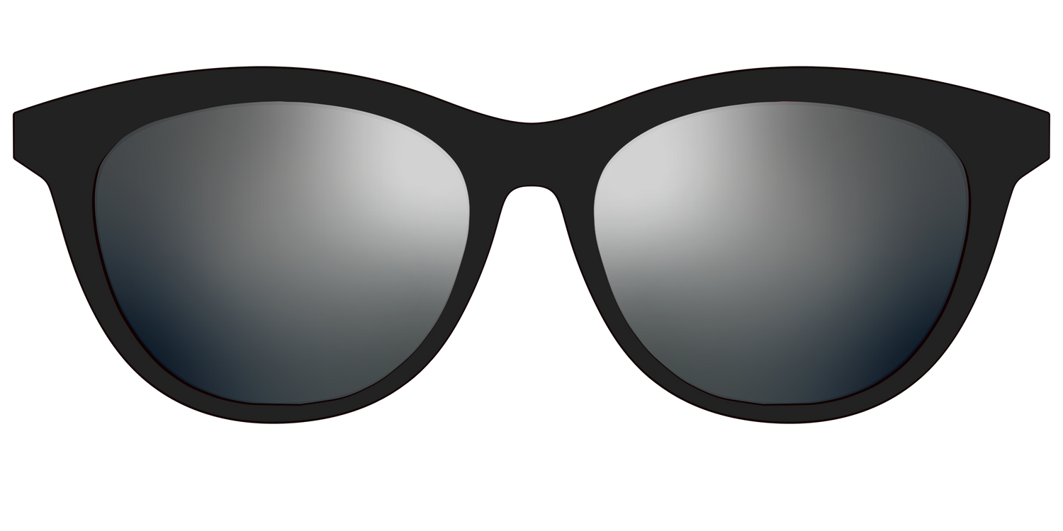 The Polarized Silver Reflective Sun Top - Front Top Image - Pair Eyewear