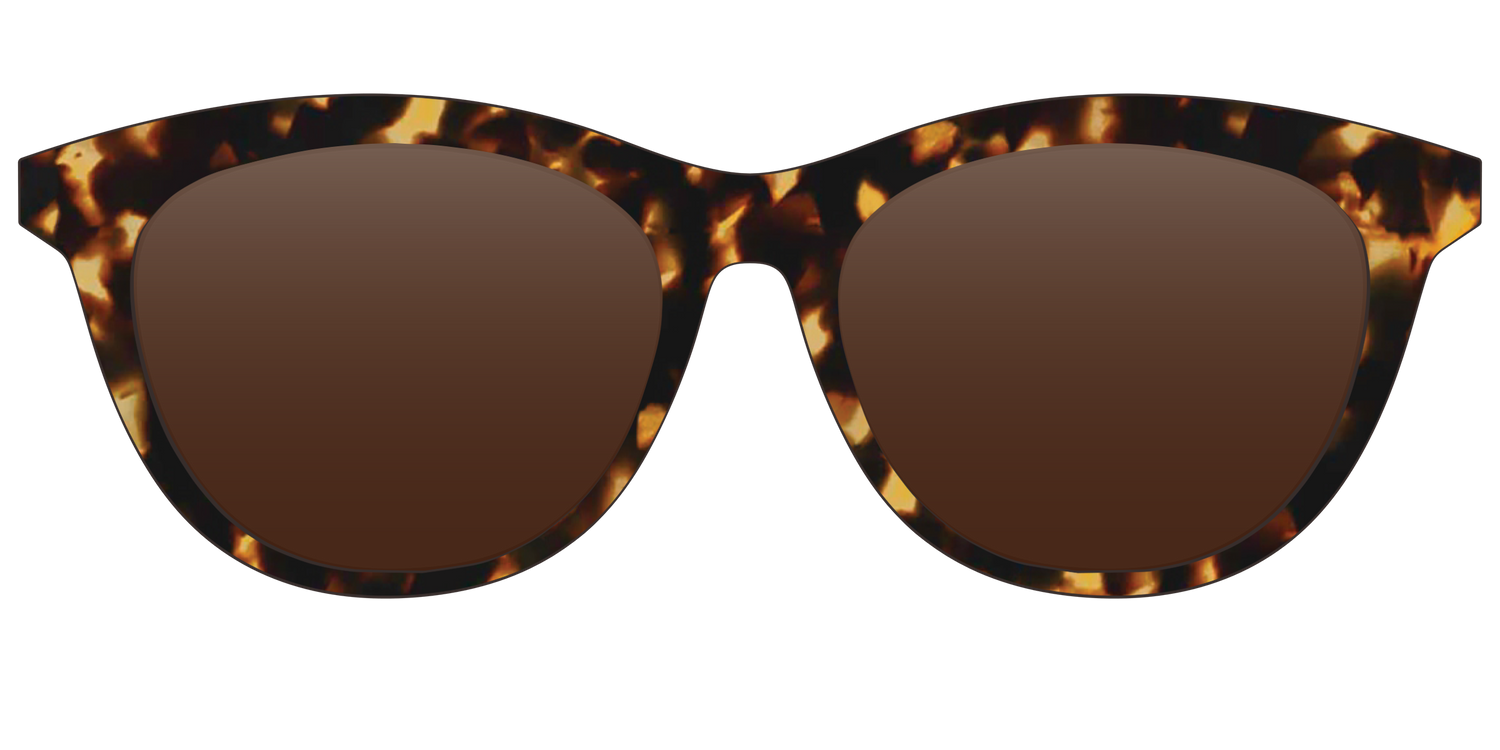 The Polarized Tortoise Sun Top - Front Top Image - Pair Eyewear