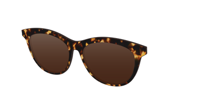 The Polarized Tortoise Sun Top - Angle Top Thumbnail - Pair Eyewear