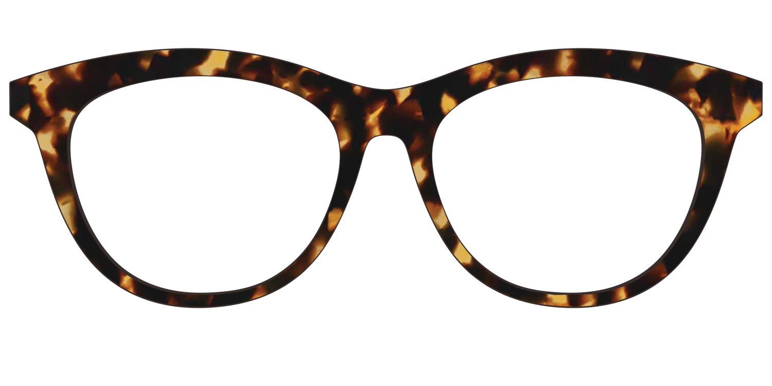 The Tortoise - Front Top Image - Pair Eyewear