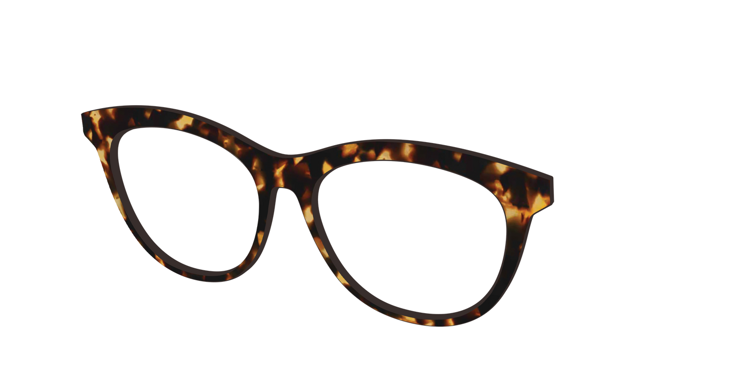 The Tortoise - Angle Top Image - Pair Eyewear