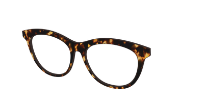 The Tortoise - Angle Top Thumbnail - Pair Eyewear