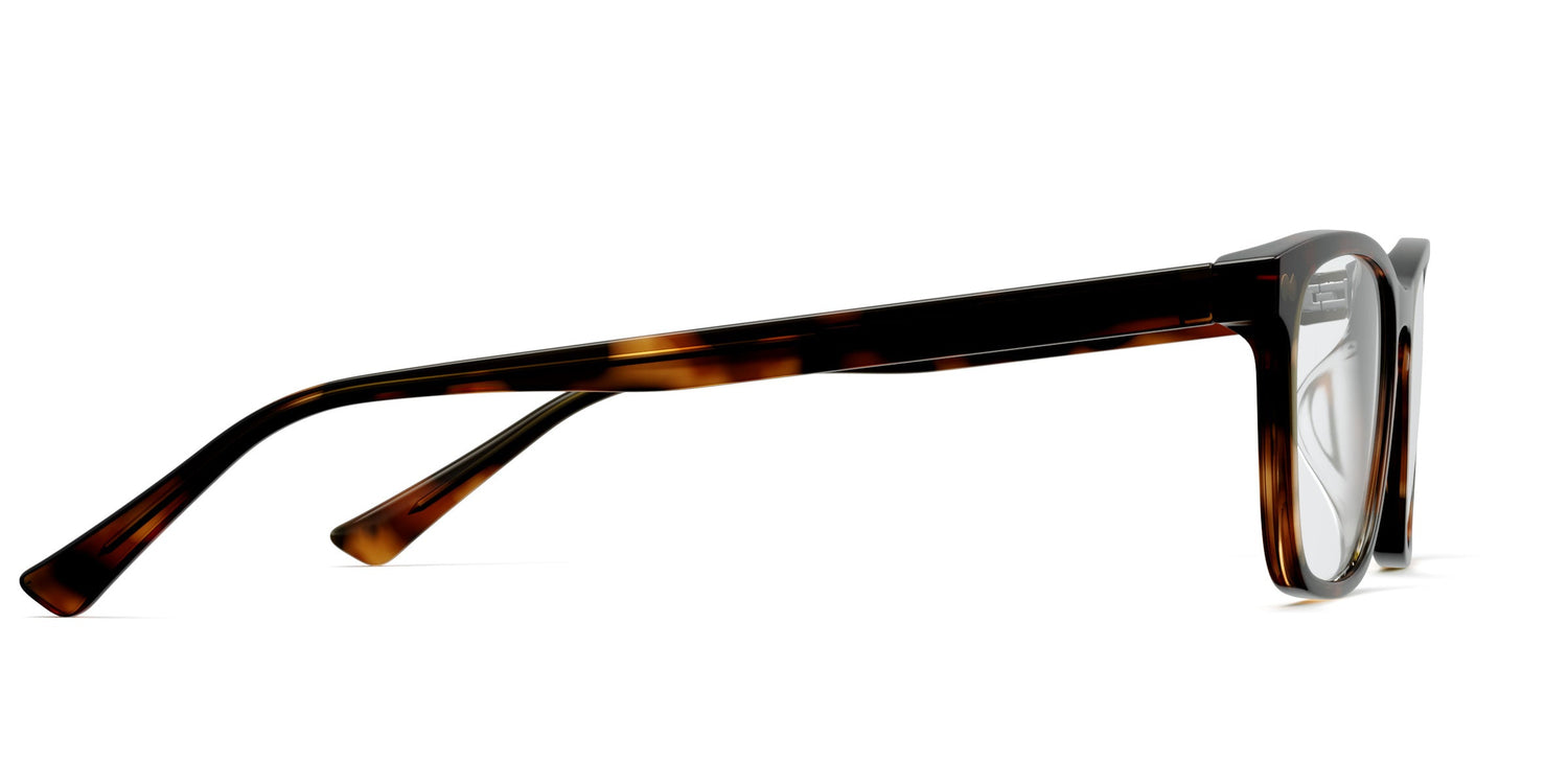 The Casper - Tortoise - Carousel3 - Pair Eyewear