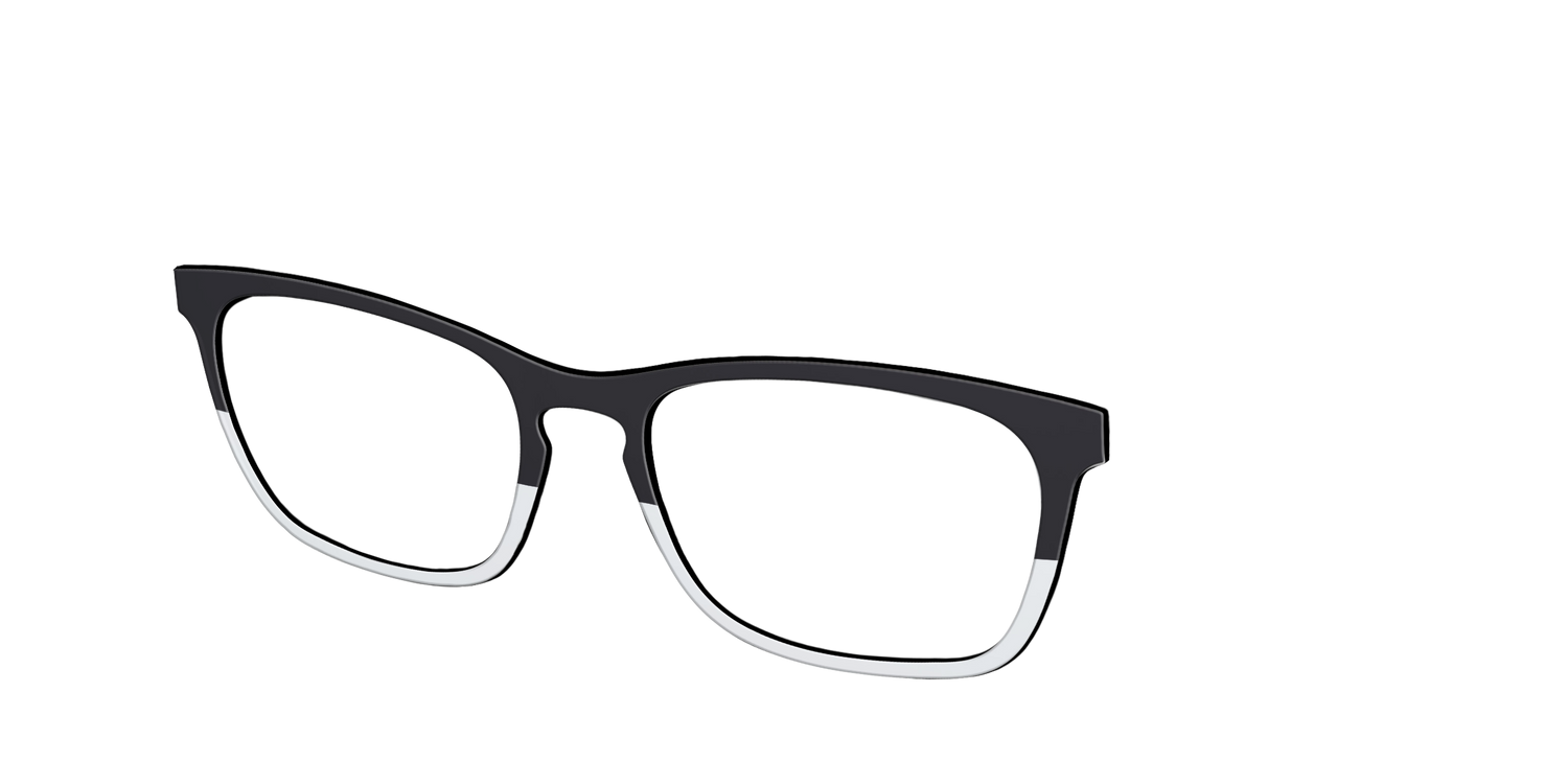 The Black and White - Angle Top Image - Pair Eyewear