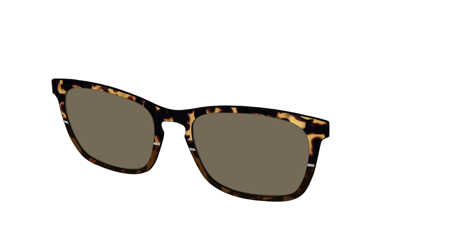 The Polarized Chic Tortoise Split Sun Top - Angle Top Image - Pair Eyewear