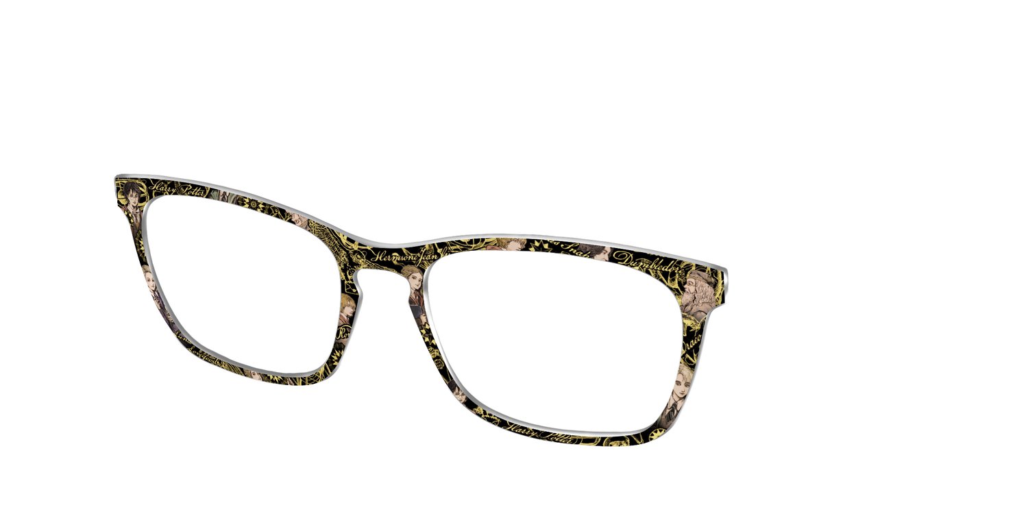 The Harry Potter Toile - Angle Top Image - Pair Eyewear