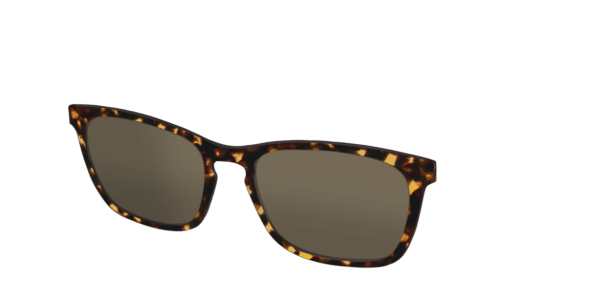 The Non-Polarized Tortoise Sun Top - Angle Top Image - Pair Eyewear