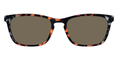 The Polarized Gray & Amber Tortoise Sun Top - Front Top Thumbnail - Pair Eyewear