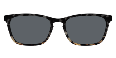 The Polarized Shadow Tortoise Sun Top - Front Top Thumbnail - Pair Eyewear