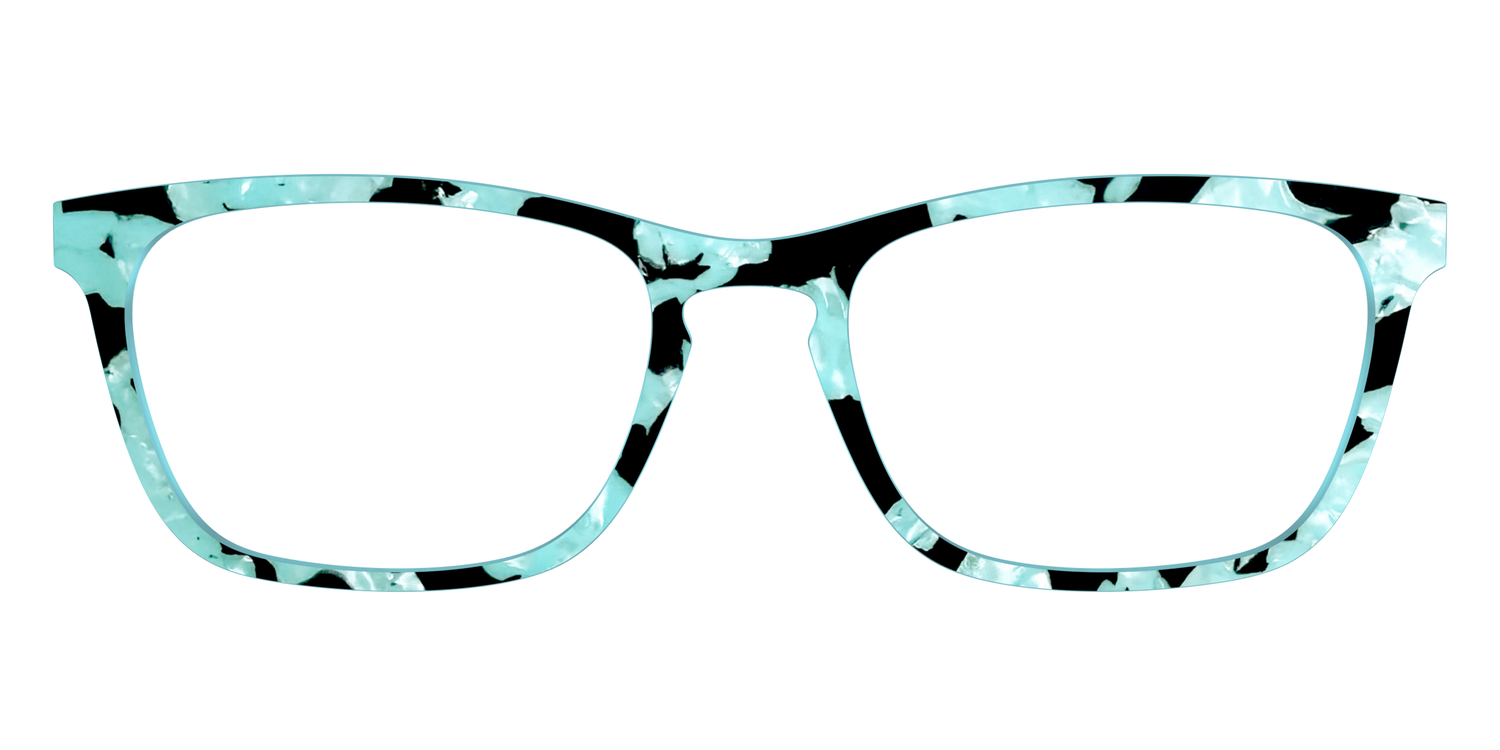 The Robin's Egg Pearl Tortoise - Front Top Image - Pair Eyewear