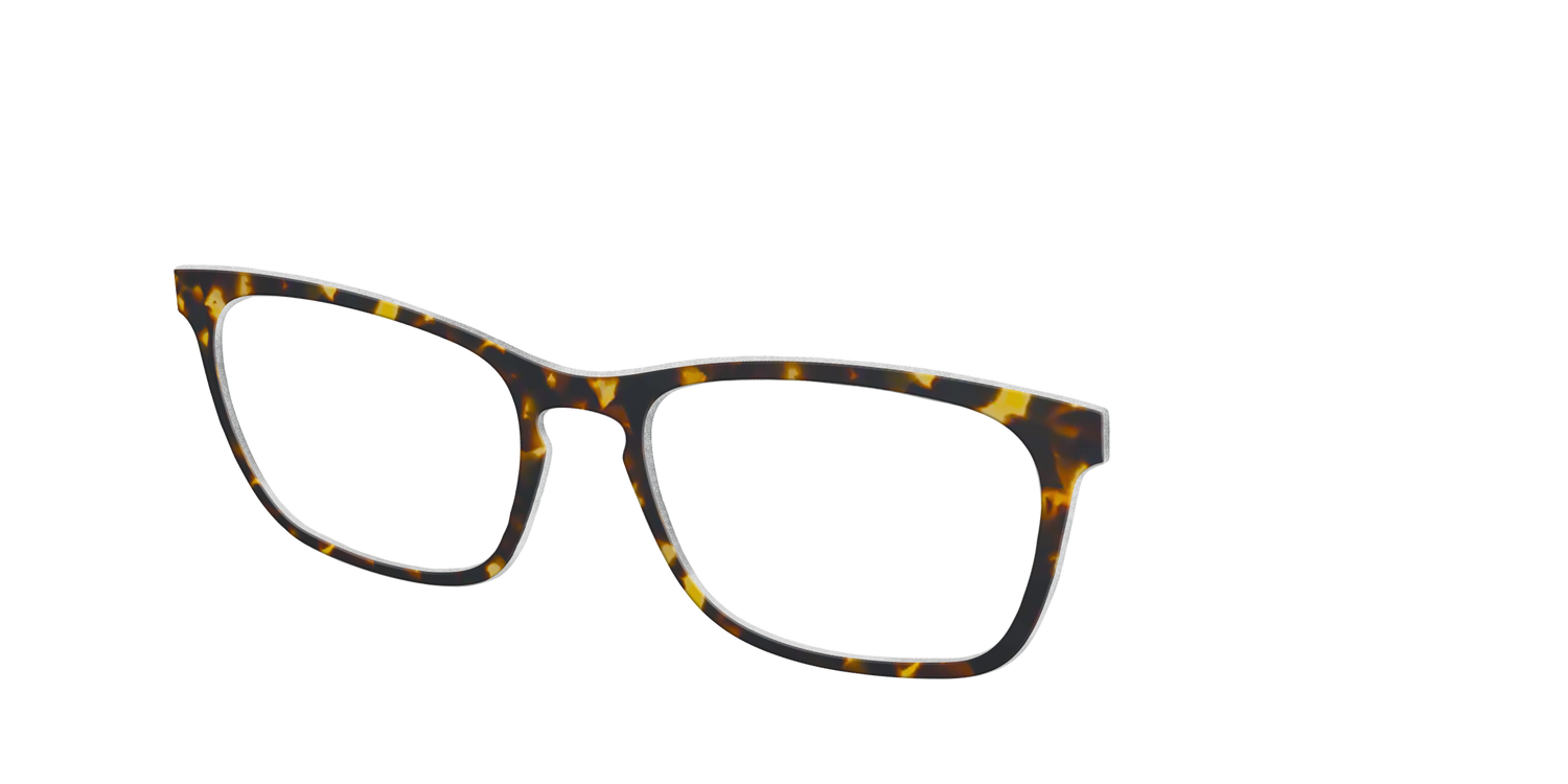 The Tortoise - Angle Top Image - Pair Eyewear