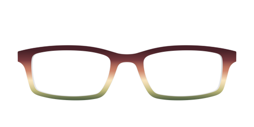 The Acorn to Moss Gradient - Pair Eyewear