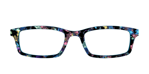 The Black Prismatic Pearl Tortoise - Pair Eyewear