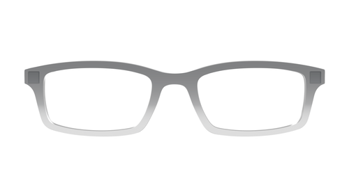 The Charcoal to Light Gray Gradient Crystal - Pair Eyewear