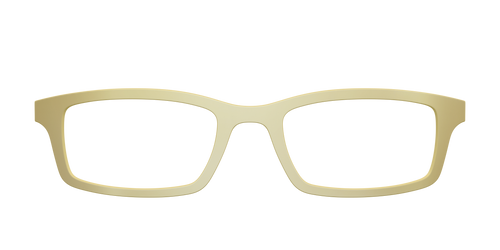 The Gold Mirror - Pair Eyewear