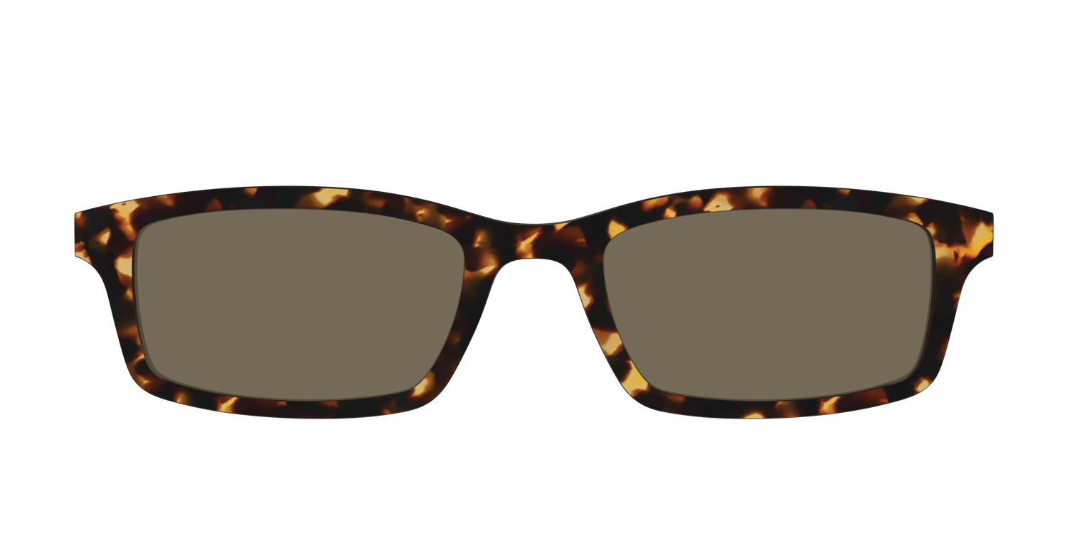 The Non-Polarized Tortoise Sun Top - Front Top Image - Pair Eyewear