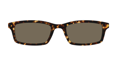 The Non-Polarized Tortoise Sun Top - Front Top Thumbnail - Pair Eyewear