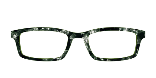 The Olive Pearl Tortoise - Pair Eyewear