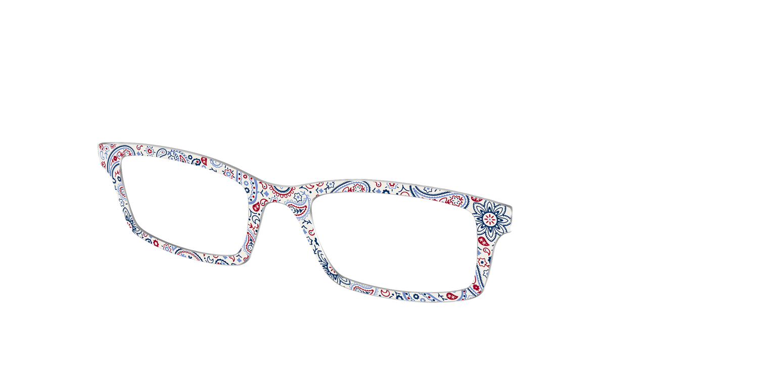 The Picnic Paisley - Angle Top Image - Pair Eyewear
