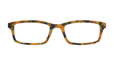 The Pumpkin Tortoise - Front Top Thumbnail - Pair Eyewear