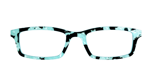 The Robin's Egg Pearl Tortoise - Pair Eyewear