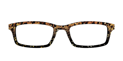 The Rustic Gold Leaf Tortoise - Front Top Thumbnail - Pair Eyewear