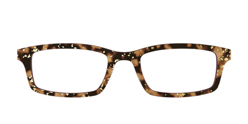 The Sandalwood Tortoise with Gold Foil - Pair Eyewear