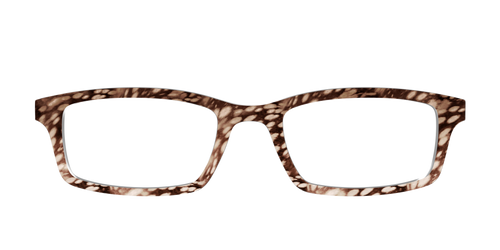 The Spotted Fawn - Pair Eyewear