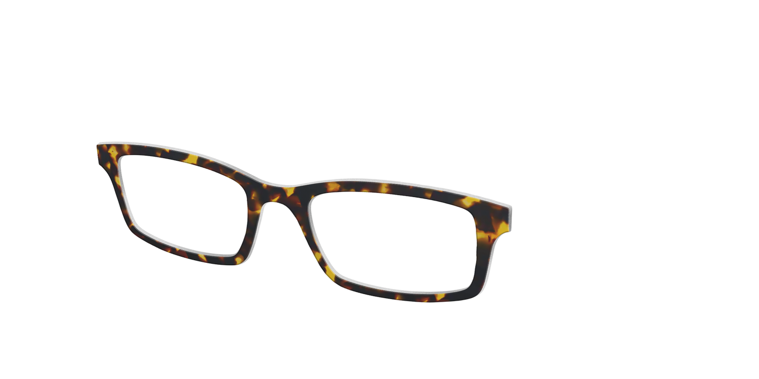 The Tortoise - Angle Top Image - Pair Eyewear