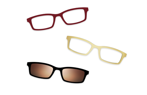 Tortoise - Set - Pair Eyewear