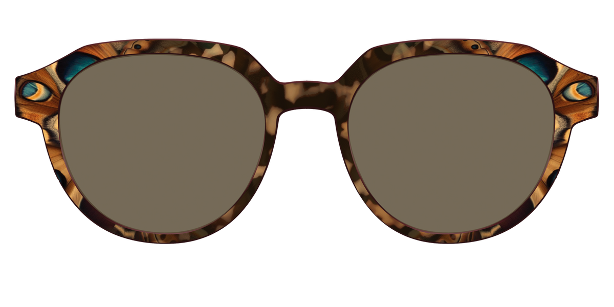 The Polarized Moth Wings Sun Top - Front Top Image - Pair Eyewear